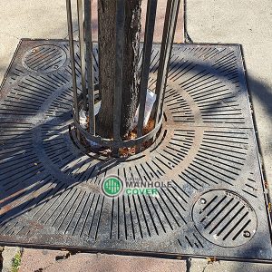 grill-pohon-dan-tree-case